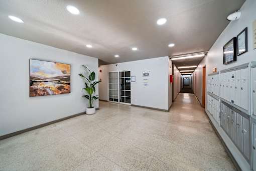 A long hallway with a plant and artwork on the wall.
