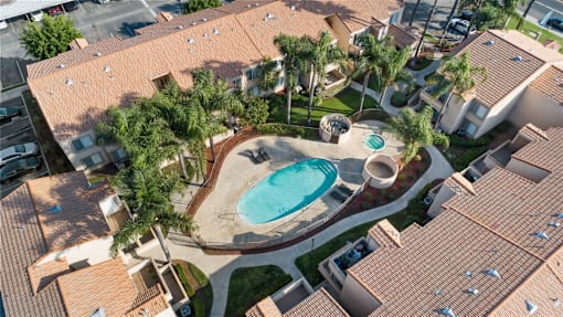 A swimming pool surrounded by palm trees and a small fountain.