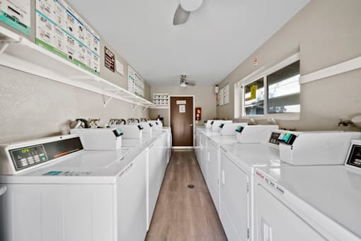 A row of washing machines in a public laundromat.