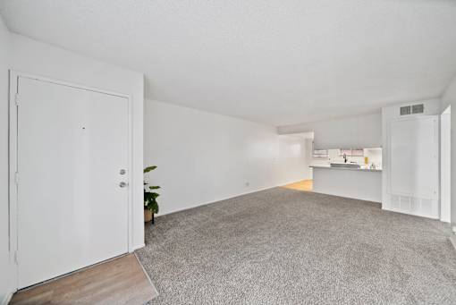 A room with a carpeted floor and a white door.
