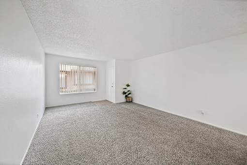 A room with a grey carpet and a window with blinds.