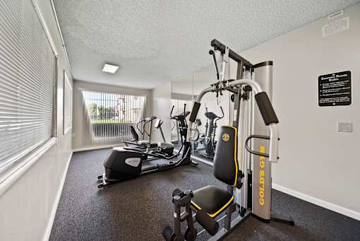 A gym with a rowing machine, a stationary bike, and a weight machine.