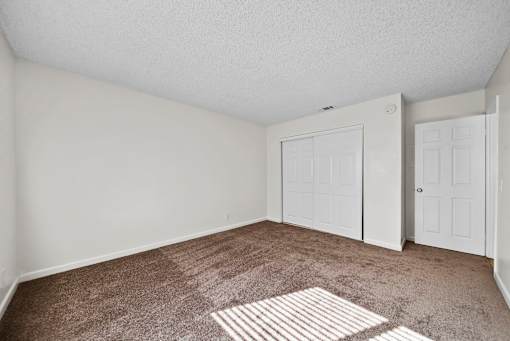 A room with two white doors and a carpeted floor.