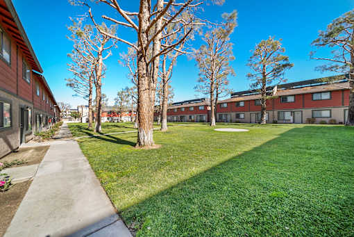 A sunny day at a grassy courtyard with trees and apartment buildings.