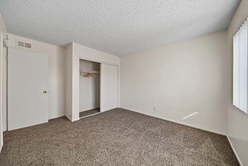 A room with a carpeted floor and a closet with a door open.