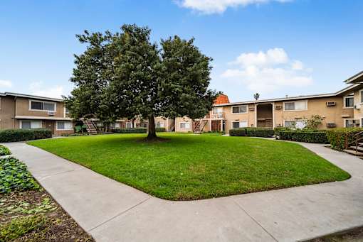 A tree in a grassy area in front of apartment buildings.