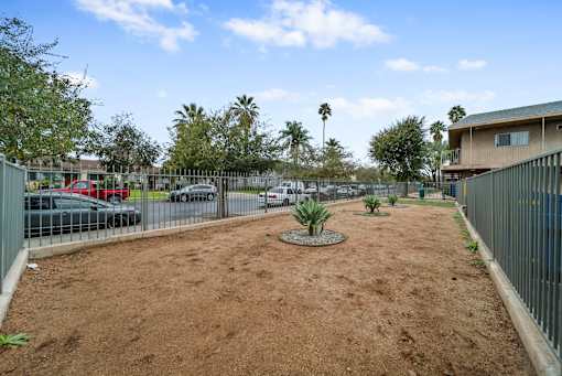 A dirt area with a fence and a tree in the middle.