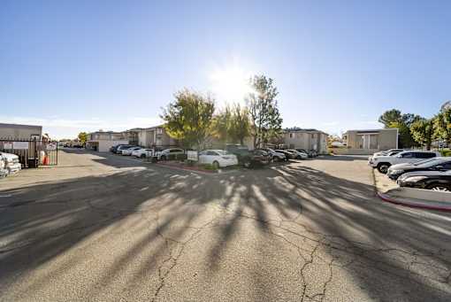 A sunny day in a parking lot with cars parked and a tree in the middle.