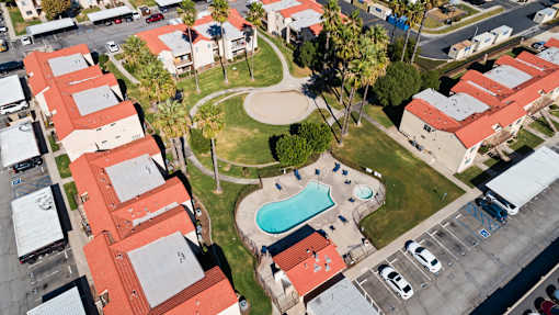 A swimming pool is surrounded by a grassy area and palm trees.