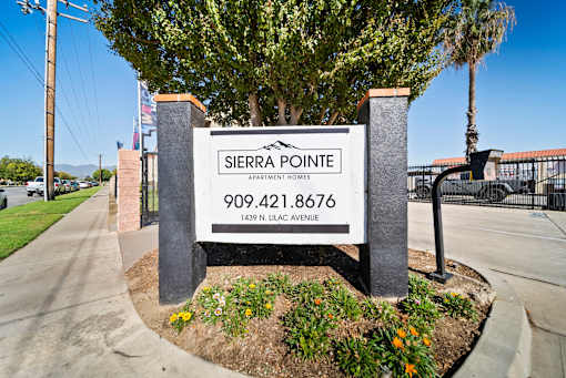 A sign for Sierra Pointe Apartment Homes stands in front of a tree.