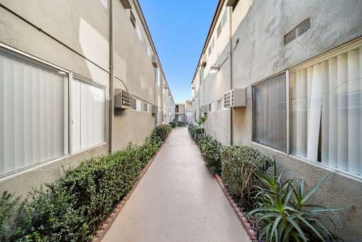 A long, narrow walkway between two buildings with windows and plants on the sides.