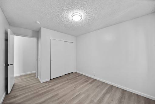 A room with a white ceiling and wooden flooring with two doors.