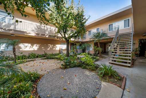 A courtyard with a tree and a gravel circle.