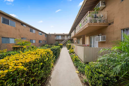 A sunny day at the apartment complex with a pathway in the middle of the courtyard.