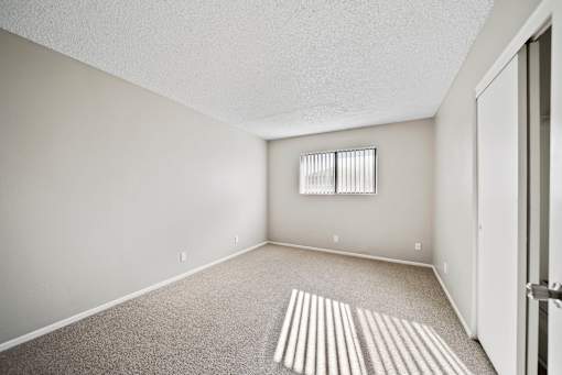 A room with a carpeted floor and a window with blinds.