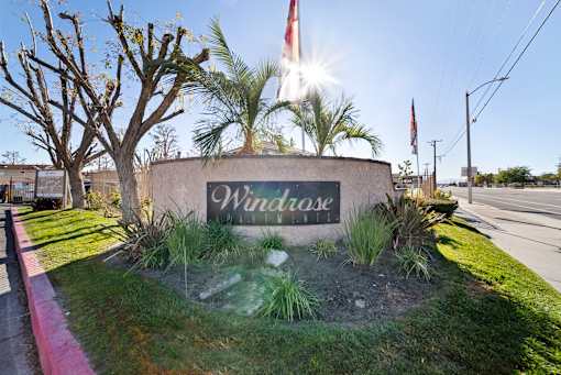 A sign that says Windrose is in front of a tree.