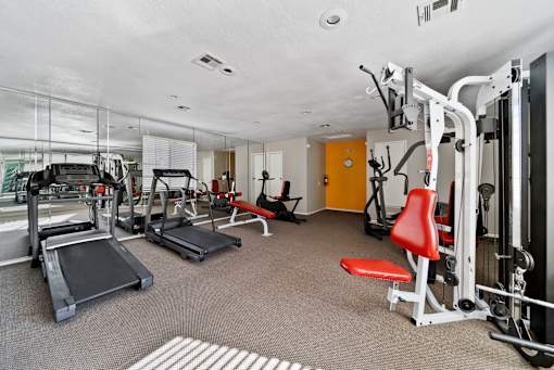 A gym with treadmills, weight machines, and benches.