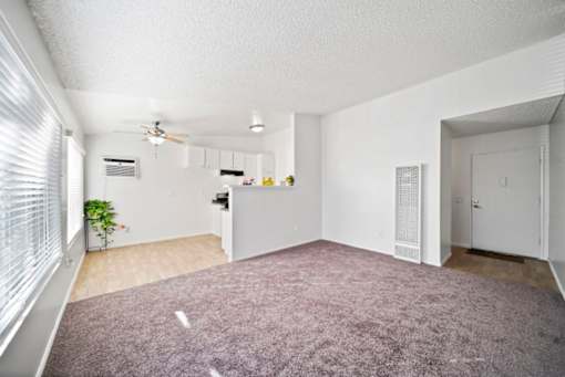 A room with a purple carpet and white walls.