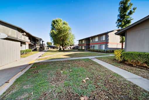 A sunny day in a residential area with houses and a tree in the middle.