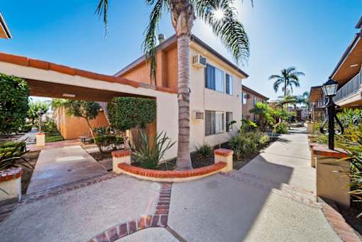 A palm tree stands in front of a house with a red brick border.