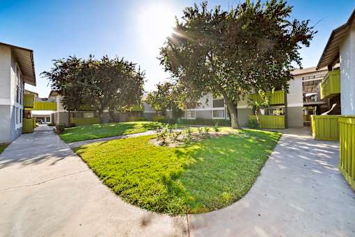 A sunny day at a park with a green lawn and trees.