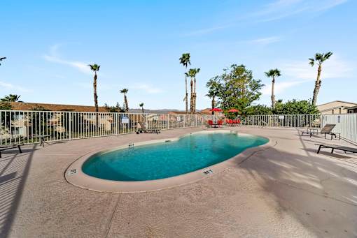 A pool surrounded by palm trees and a fence.