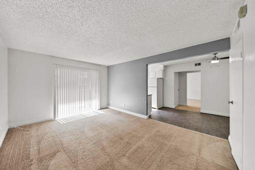 A room with a carpeted floor and a sliding glass door.