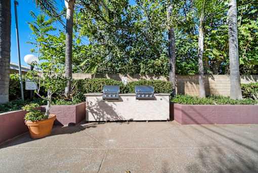A patio with a grill and a potted plant.