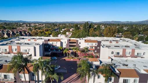A view of a residential area with houses and palm trees.