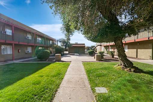 A tree in a grassy area in front of apartment buildings.