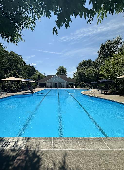 A large blue swimming pool surrounded by trees and a building in the background.