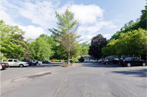 Taymil Holly House Parking Lot