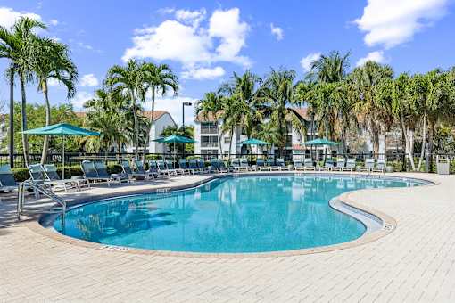 A large outdoor swimming pool surrounded by palm trees at The Atlantic Preserve, Plantation, FL