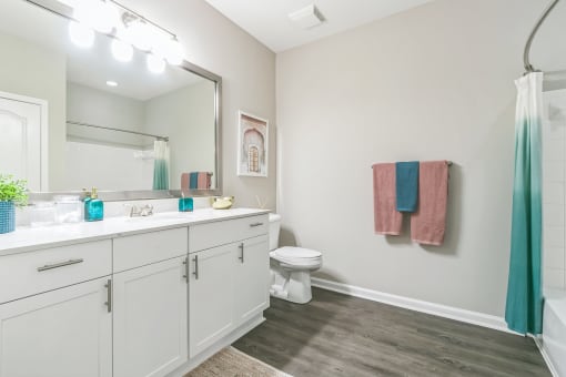 a bathroom with a large mirror and a sink and a toilet