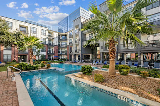 Swimming pool with palm trees  at The Atlantic Memorial, Houston