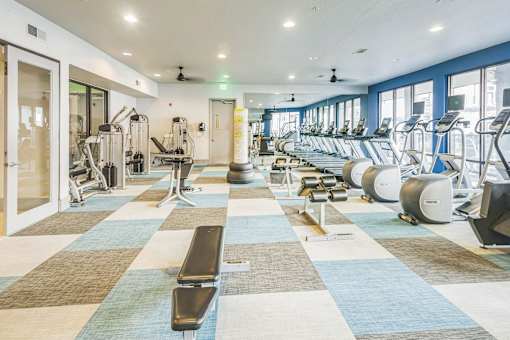 a fitness room with cardio machines and weights at the apartments