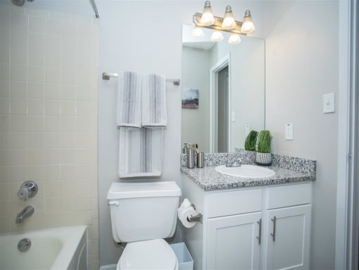 Model. Bathroom.
