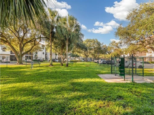 Dog Park at The Atlantic Preserve, Plantation, FL