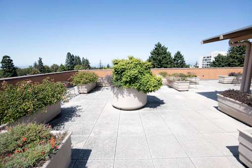 A courtyard with a large planter in the middle.