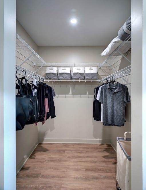 Two-Bedroom Apartments in Kalamazoo, MI - 400 Rose - Closet with Hanging Racks and Wood-Style Floors