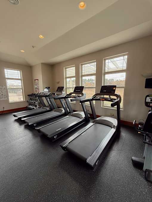 A gym with treadmills and elliptical machines.