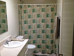 bathroom with sink, toilet, and shower curtain