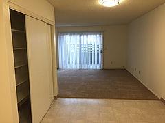 view into living room from hall, storage closet