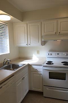 kitchen with sink, dishwasher, and stove