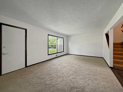 A room with a carpeted floor, a white door, and a window with blinds.