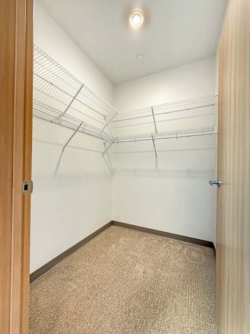 A walk-in closet with shelves and a carpeted floor.
