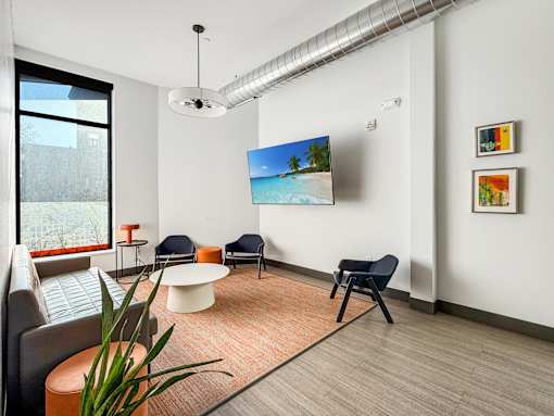 A living room with a television, chairs, and a plant.