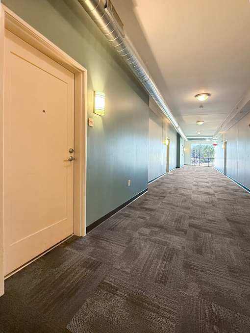 A long hallway with carpeted floors and white doors.