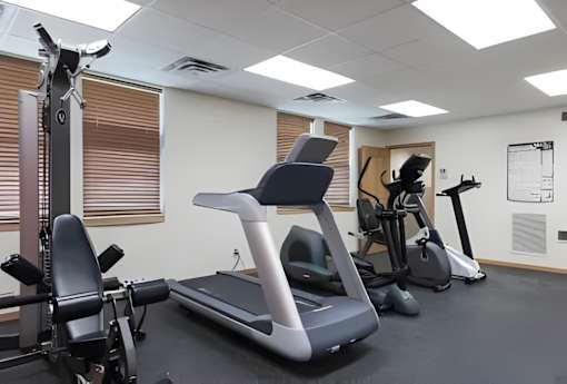 A gym with treadmills, exercise bikes, and other equipment.