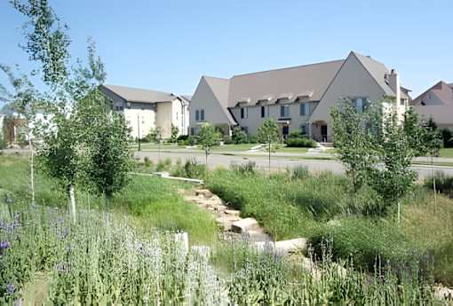 A field of wildflowers in front of a row of houses.
